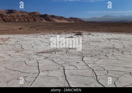 Terra incrinata coperta con sale essiccato. Valle de la Luna, deserto di Atacama, Cile Foto Stock