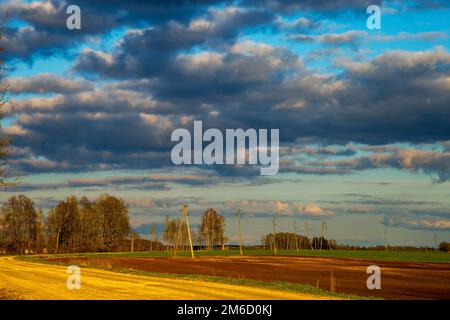 Paesaggio con cielo nuvoloso blu, campo di cereali e alberi. Foto Stock