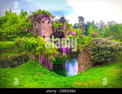 Glicine fiorisce nel giardino delle fate di ninfa in Italia - torre medievale rovina circondata dal fiume Foto Stock