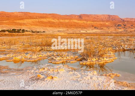 Mar Morto Israele alba mattina paesaggio natura Foto Stock