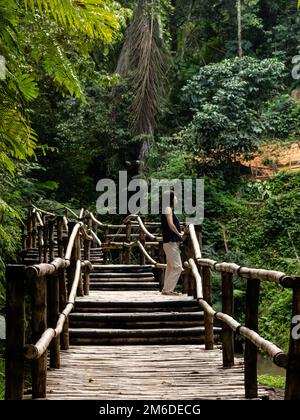 Giovani moda donna su un ponte di bambù Foto Stock