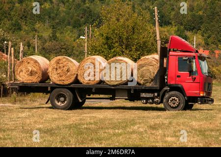 Camion caricato con balle di fieno rotonde su prato di campagna Foto Stock