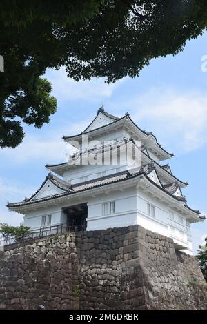 Castello di Odawara ricostruito. Sole e cielo blu, stagione estiva Foto Stock