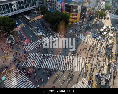 Shibuya, Giappone - 23 9 19: Persone che attraversano Shibuya Crossing in serata con l'attraversamento completo in vista Foto Stock