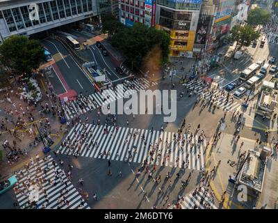 Shibuya, Giappone - 23 9 19: Persone che attraversano Shibuya Crossing in serata con l'attraversamento completo in vista Foto Stock