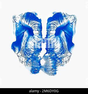 Rorschach-inkblot, inkblot , Rorschach-Test Foto Stock