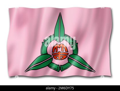 Bandiera della città di Hsinchu, collezione di striscioni in Cina. Illustrazione 3D Foto Stock