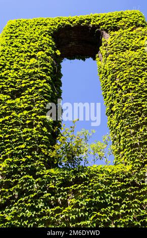 Resto della costruzione con piante Foto Stock