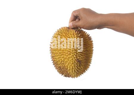 Elai, frutti tropicali come frutta dura Foto Stock