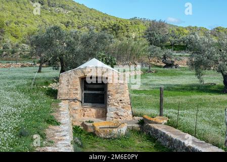 Campi rurali di Santa Anges de la Corona, Ibiza, Spagna. Foto Stock