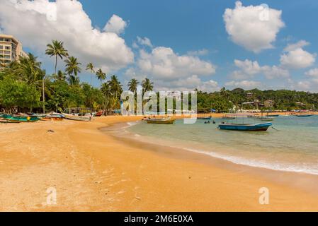 Unawatuna, Sri Lanka : 2019 Nov 19 : mattina sulla spiaggia nella bella baia di Unawatuna in Sri Foto Stock