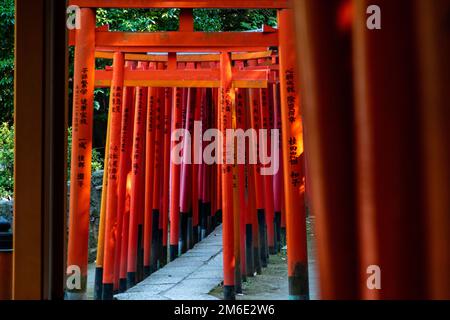 Tokyo, Giappone - 9 8 2019: Le file di archi rossi 'torii' nel santuario di Nezu Foto Stock
