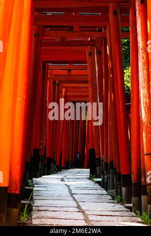 Tokyo, Giappone - 9 8 2019: Le file di archi rossi 'torii' nel santuario di Nezu Foto Stock