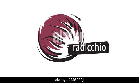 Radicchio disegnato isolato su sfondo bianco. Illustrazione Vettoriale