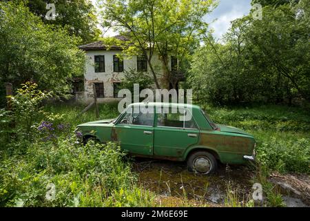 Sioli di grano in un campo di grano. Set di vasche abbandonate per la coltivazione di piante coltivate per il terreno Foto Stock