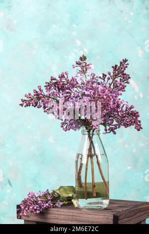 Bouquet di fiori di lilla in una bottiglia di vetro su sfondo chiaro. primavera floreale texture Foto Stock