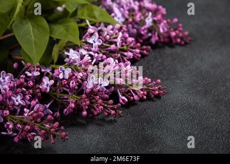 Bouquet di fiori lilla su fondo in cemento nero. Elegante biglietto d'auguri floreale. Buon giorno delle madri. Foto Stock