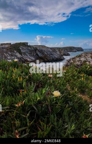 Baleal, Portogallo - formazioni rocciose sulle acque dell'Oceano Atlantico con vegetazione salata Foto Stock