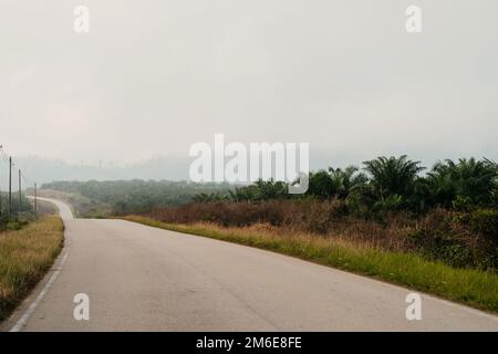 Strada asfaltata vuota e verde piantagione di olio di palma paesaggio naturale. Foto Stock