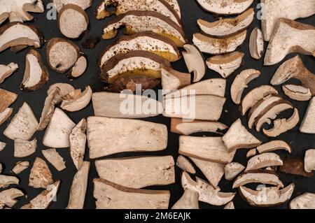 Funghi freschi di boletus edulis tagliati a fette preparati per l'essiccazione Foto Stock