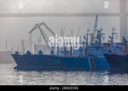 Porto di Vladivostok. Varie navi mercantili si trovano sulla strada nella Baia del Corno d'Oro a Vladivostok durante la nebbia fitta Foto Stock