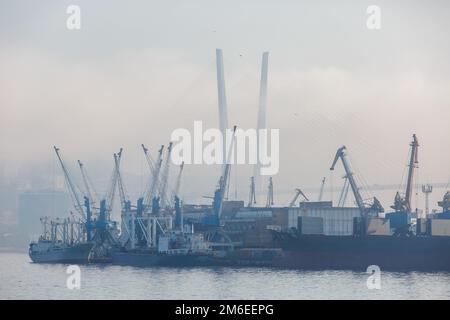 Porto di Vladivostok. Varie navi mercantili si trovano sulla strada nella Baia del Corno d'Oro a Vladivostok durante la nebbia fitta Foto Stock