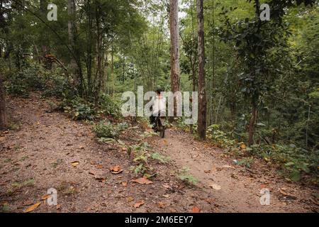 Uomo locale in moto nella giungla con un fucile. PAI, Thailandia del Nord. Foto Stock