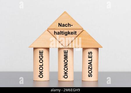 Sostenibilità con ecologia, economia e questioni sociali Foto Stock
