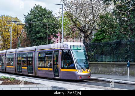 Luas tram attraversando St. Stephen's Green nel centro di Dublino, Irlanda Foto Stock
