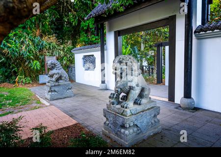 Leoni guardiani Cinesi all'entrata del Giardino Cinese di Hervey Bay, del Giardino Botanico di Hervey Bay, di Urangan Hervey Bay Queensland Australia Foto Stock