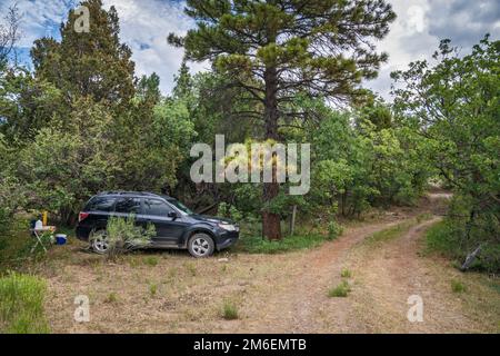 SUV al campeggio fuori FR 17 (Main Canyon Rd), vicino Birch Creek, Escalante Mountains, Dixie National Forest, vicino Escalante, Utah, Stati Uniti Foto Stock