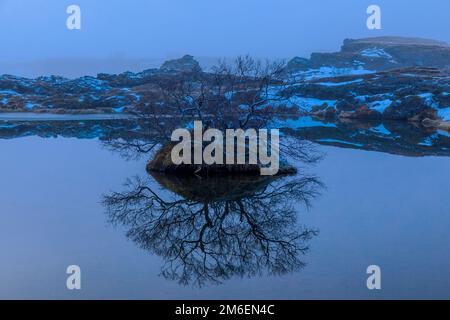 Gli snook autunnali e le gru con la prima neve sul lago Myvatn nel nord dell'Islanda Foto Stock