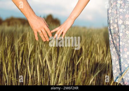 Una mano dell'uomo e una mano della donna insieme in un campo di grano. Raccolto, stile di vita, concetto di famiglia Foto Stock