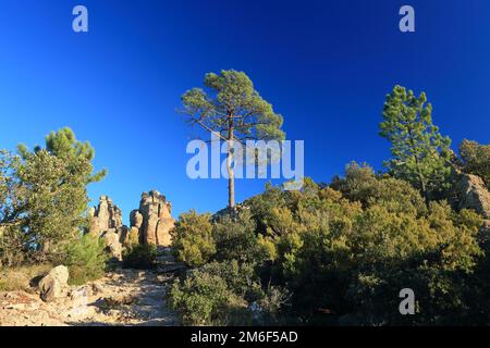 Vista dall'alto da Mont Vinaigre, Esterel, var, 83, PACA Foto Stock