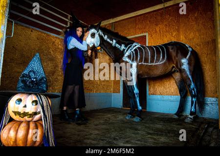 Una ragazza in un costume di strega tiene un cavallo dalla briglia in un Corral su una fattoria, uno scheletro è dipinto su un cavallo in vernice bianca Foto Stock