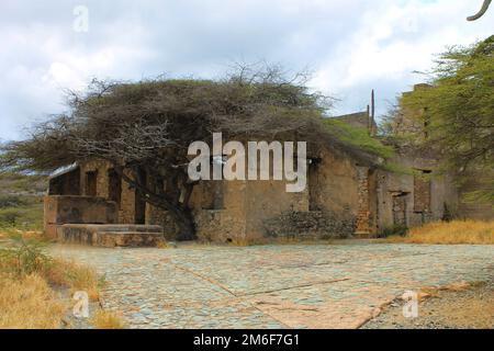 Rovine della vecchia miniera d'oro di Balashi, Aruba Foto Stock