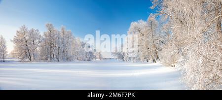 Panorama del bellissimo parco invernale Foto Stock