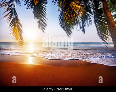 Bella spiaggia tropicale e foglie di palme da cocco a. ora del tramonto Foto Stock