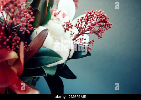 Bouquet con cotone su fondo scuro. Sfondo sfocato tutto intorno Foto Stock