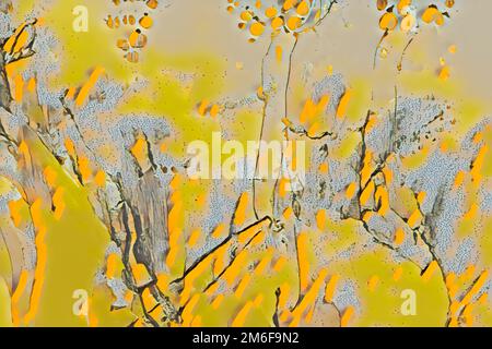 Pittura arancione Aqvarel Foto Stock