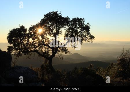 Vista dall'alto da Mont Vinaigre, Esterel, var, 83, PACA Foto Stock