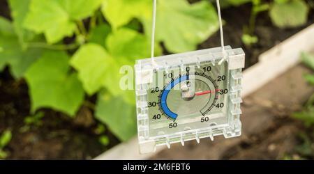 Termometro per misurare la temperatura dell'aria nella serra Foto Stock