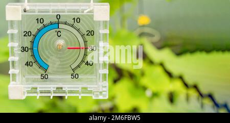 Termometro per la misurazione della temperatura dell'aria in serra, banner, spazio copia, spazio per testo Foto Stock