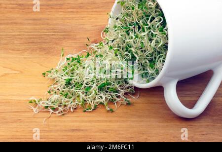 Germogli di erba medica giovani biologici in una tazza su un tavolo di legno Foto Stock