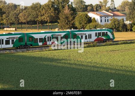 Vista del treno regionale Luzzara Parma, Italia Foto Stock