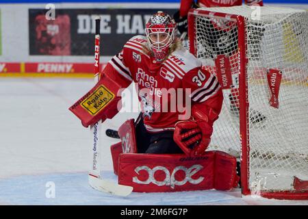 COLONIA, GERMANIA - 2 GENNAIO 2023: Partita di hockey DEL Kölner Haie - Düsseldorfer EG Foto Stock