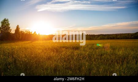 Bellissimo tramonto e campo verde Foto Stock