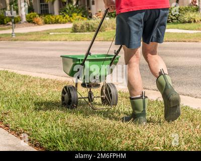 Uomo concimazione e semina prato residenziale con spanditore manuale di semi da prato. Foto Stock