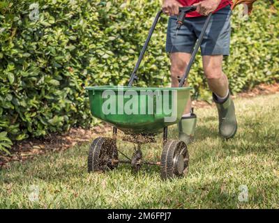 Uomo concimazione e semina prato residenziale con spanditore manuale di semi da prato. Foto Stock