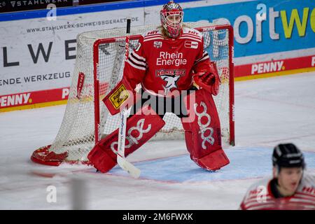 COLONIA, GERMANIA - 2 GENNAIO 2023: Partita di hockey DEL Kölner Haie - Düsseldorfer EG Foto Stock